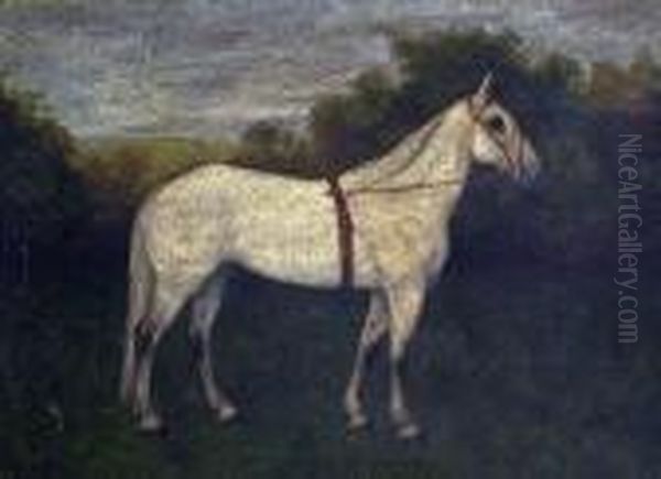 Lady R, Study Of A Racehorse Oil Painting by Garden Grant Smith
