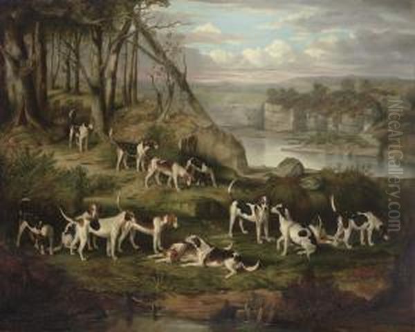 A Pack Of Foxhounds On A Bank Above A Rocky Gorge Oil Painting by Smith, William