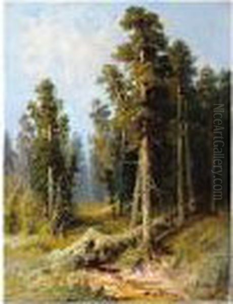 Apsit , Light In The Woods, Signed And Dated On The Reverse 1899, Oil On Canvas, 58.5 X 45 Cm.; 23 X 17 3/4 In Oil Painting by Alexander Petrovich Sokolov