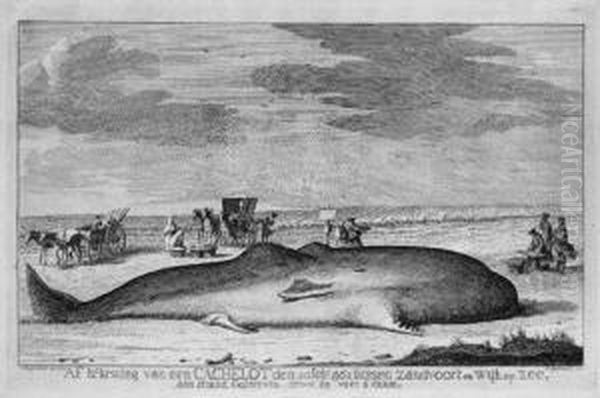 Der Gestrandete Wal Zwischen Zandvoort Und Wijk Op Zee Oil Painting by Hendrik Spilman