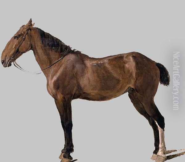 Portrait of a Horse, 1794 Oil Painting by Jacques Laurent Agasse