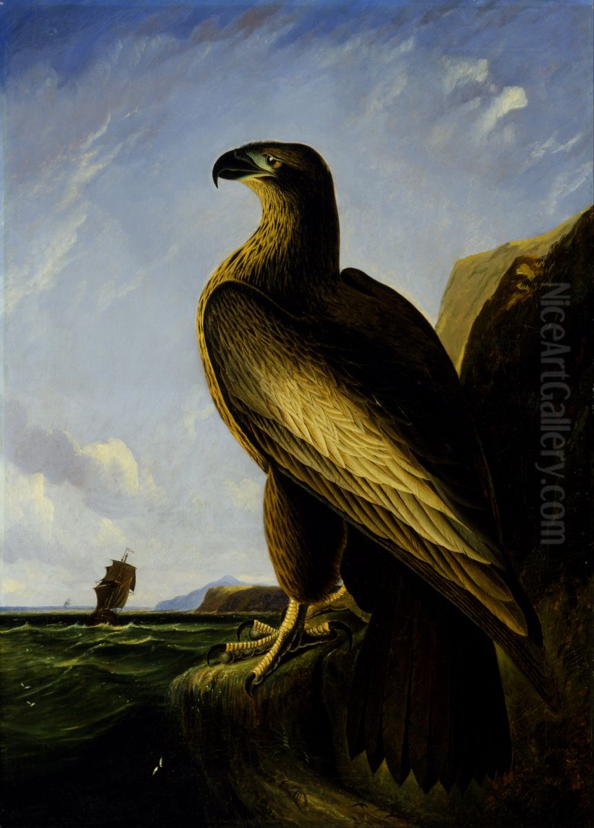Washington Sea Eagle Oil Painting by John James Audubon