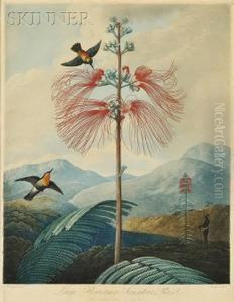 Temple Of Flora Oil Painting by Joseph Constantine Stadler