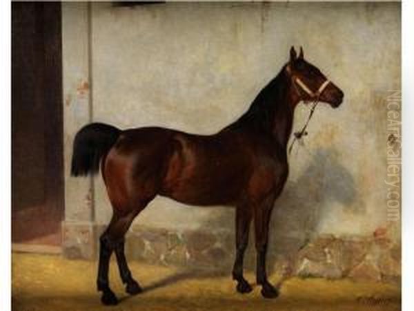 Pferdeportrait Oil Painting by Carl Steffeck