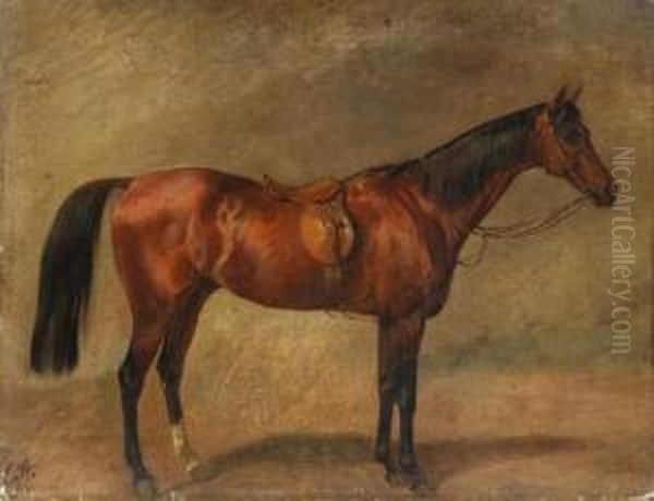 Picture Of A Horse Oil Painting by Carl Steffeck
