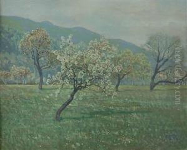 Fruhlingswiese Mit Bluhenden Obstbaumen Oil Painting by Eduard Stella