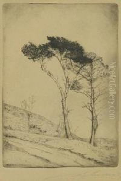 Trees On Sloping Ground Oil Painting by Malte Sterner