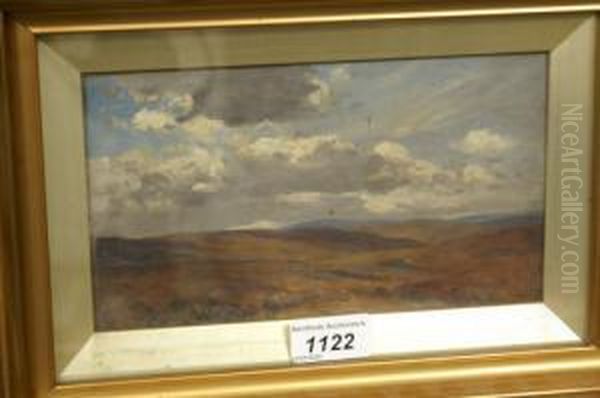 Extensive Moorland Landscape Oil Painting by Jan Stevens