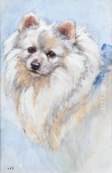 Portrait Of A Japanese Spitz Oil Painting by George Vernon Stokes