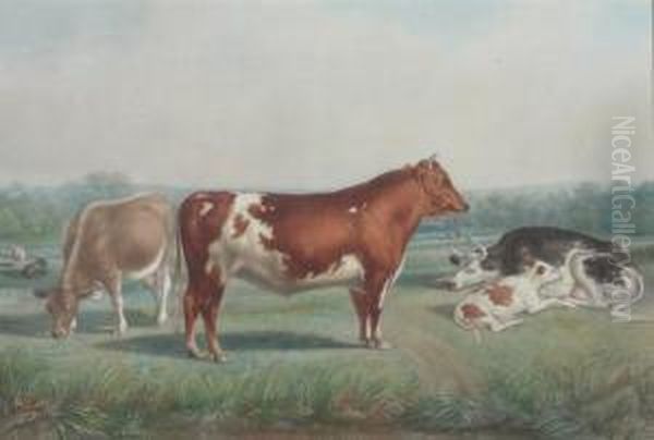 Cows Feeding In Clearing Oil Painting by John L. Stokes