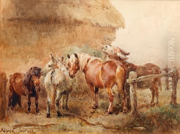 A Pack Of Thieves Oil Painting by William Strutt