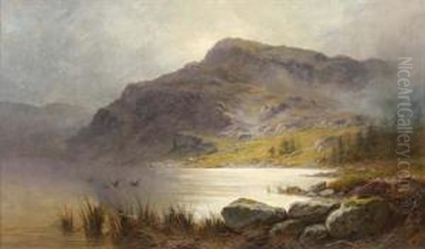Duck Rising Over A Highland Loch Oil Painting by Charles Stuard