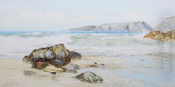 Oyster Catchers On The Shore Oil Painting by William Sturge F