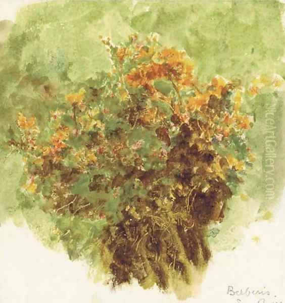Study of berberis sunshine Oil Painting by Helen Mary Elizabeth Allingham