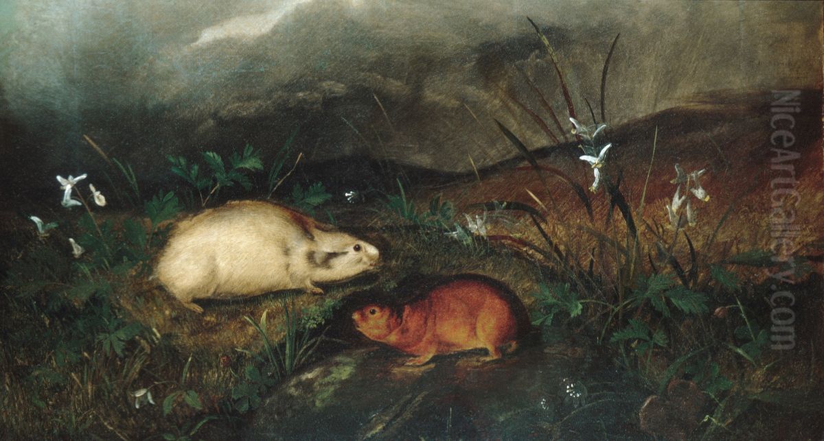 Hudson's Bay Lemming Oil Painting by John Woodhouse Audubon