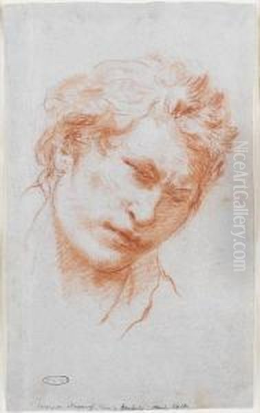 Head Of A Young Man Oil Painting by Lorenzo Tiepolo