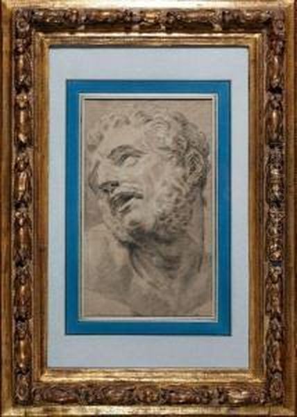 Tete D'homme D'apres L'antique. Oil Painting by Jacopo Tintoretto (Robusti)