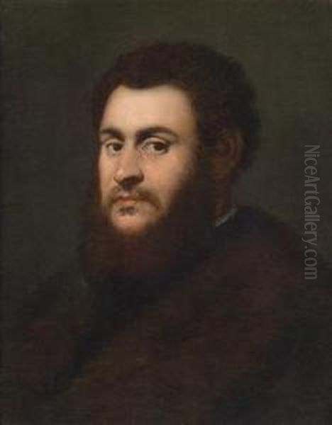 Portrait Of A Bearded Man Oil Painting by Jacopo Tintoretto (Robusti)