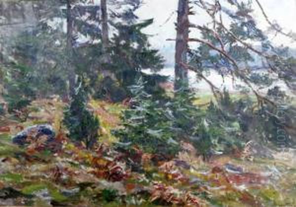 Skogsmotiv Oil Painting by Stina Tiren