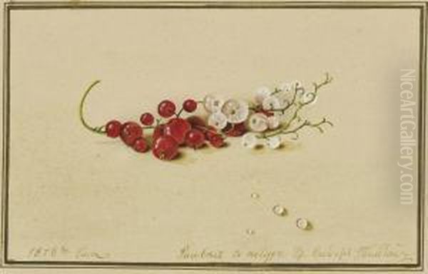 Tolstoi Red And White Currants Oil Painting by Fedor Petrovich Tolstoy