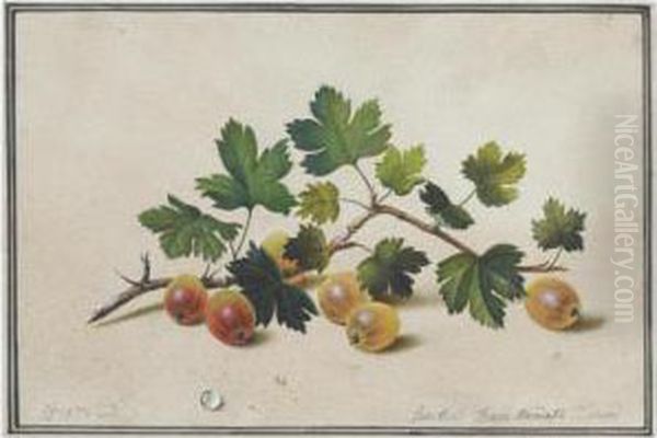 Gooseberries Oil Painting by Fedor Petrovich Tolstoy