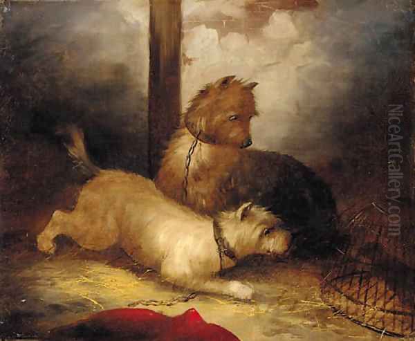 Terriers ratting Oil Painting by Edwin Armfield