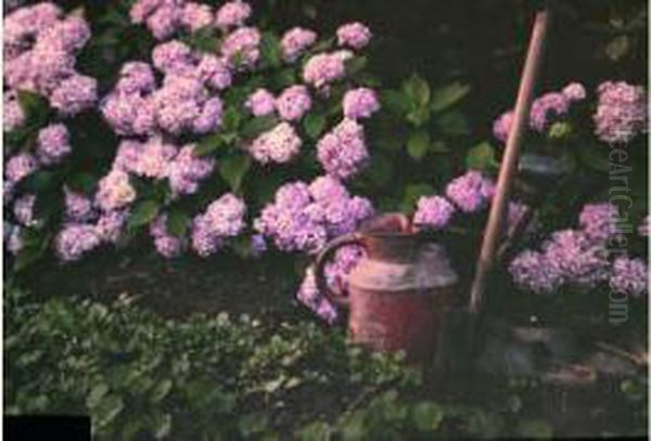 Coin De Jardin Aux Hortensias Oil Painting by Jean Baptiste Tournassoud