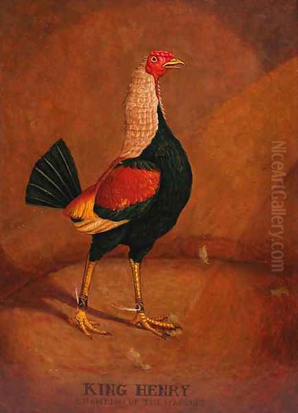 King Henry, a fighting cock Oil Painting by Henry Thomas Alken