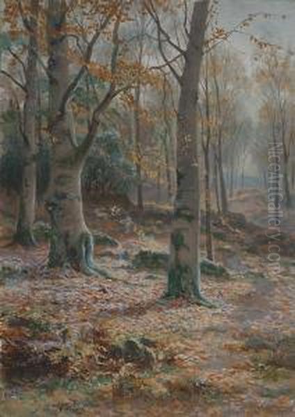 Birch Trees In Bettws Woods Oil Painting by John A. Trench