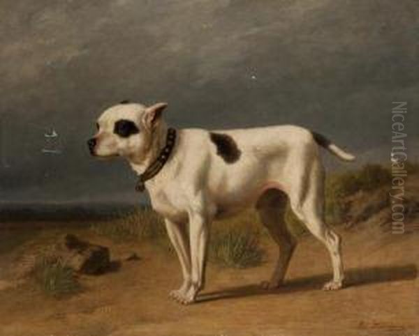 Portrait De Chien Sur La Plage Oil Painting by Edmond Jean Baptiste Tschaggeny