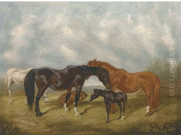 Mares And Foals Oil Painting by C. Turner