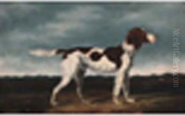 Setter In A Landscape Oil Painting by C. Turner