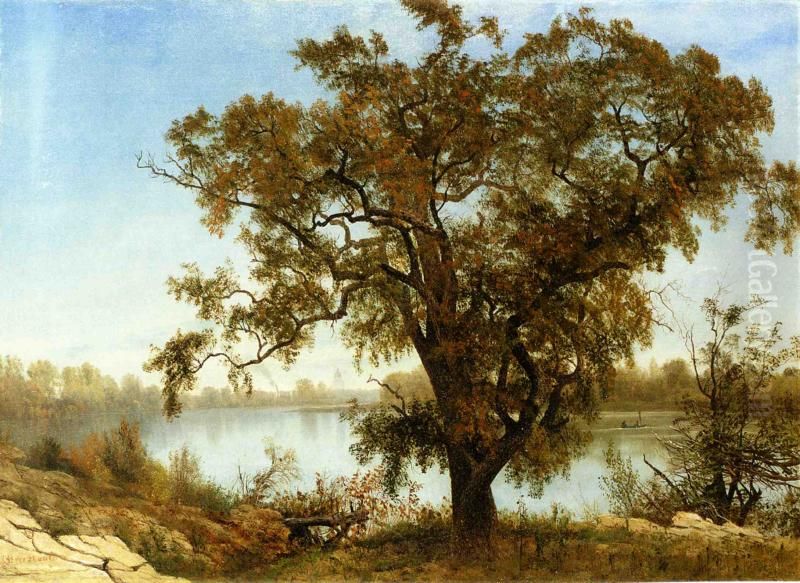 A View from Sacramento Oil Painting by Albert Bierstadt