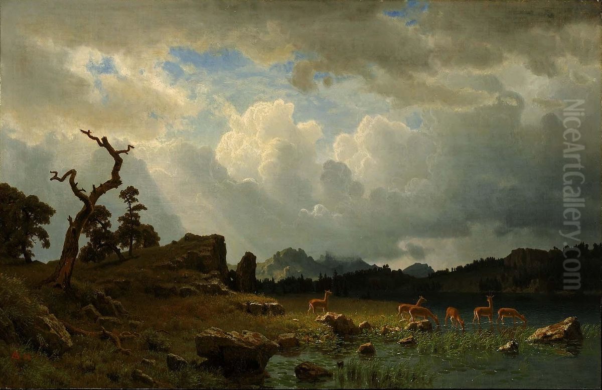 Thunderstorm In The Rocky Mountains Oil Painting by Albert Bierstadt
