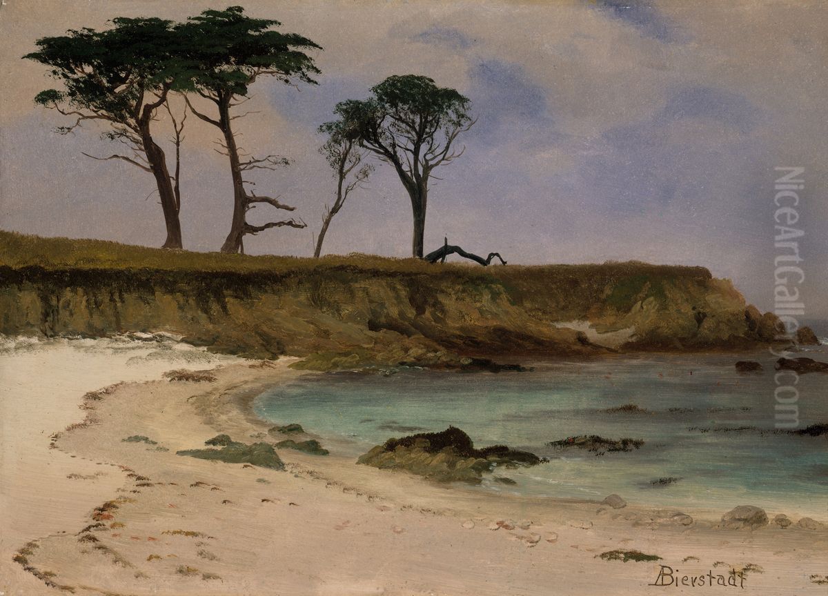 Sea Cove Oil Painting by Albert Bierstadt