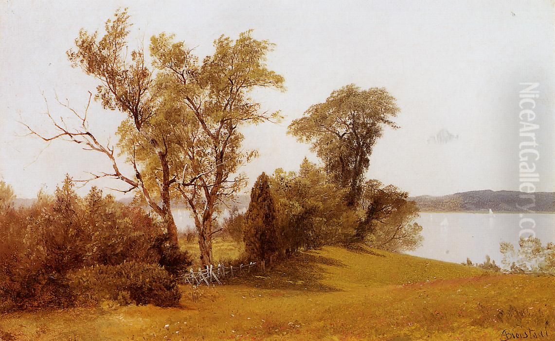Sailboats On The Hudson At Irvington Oil Painting by Albert Bierstadt