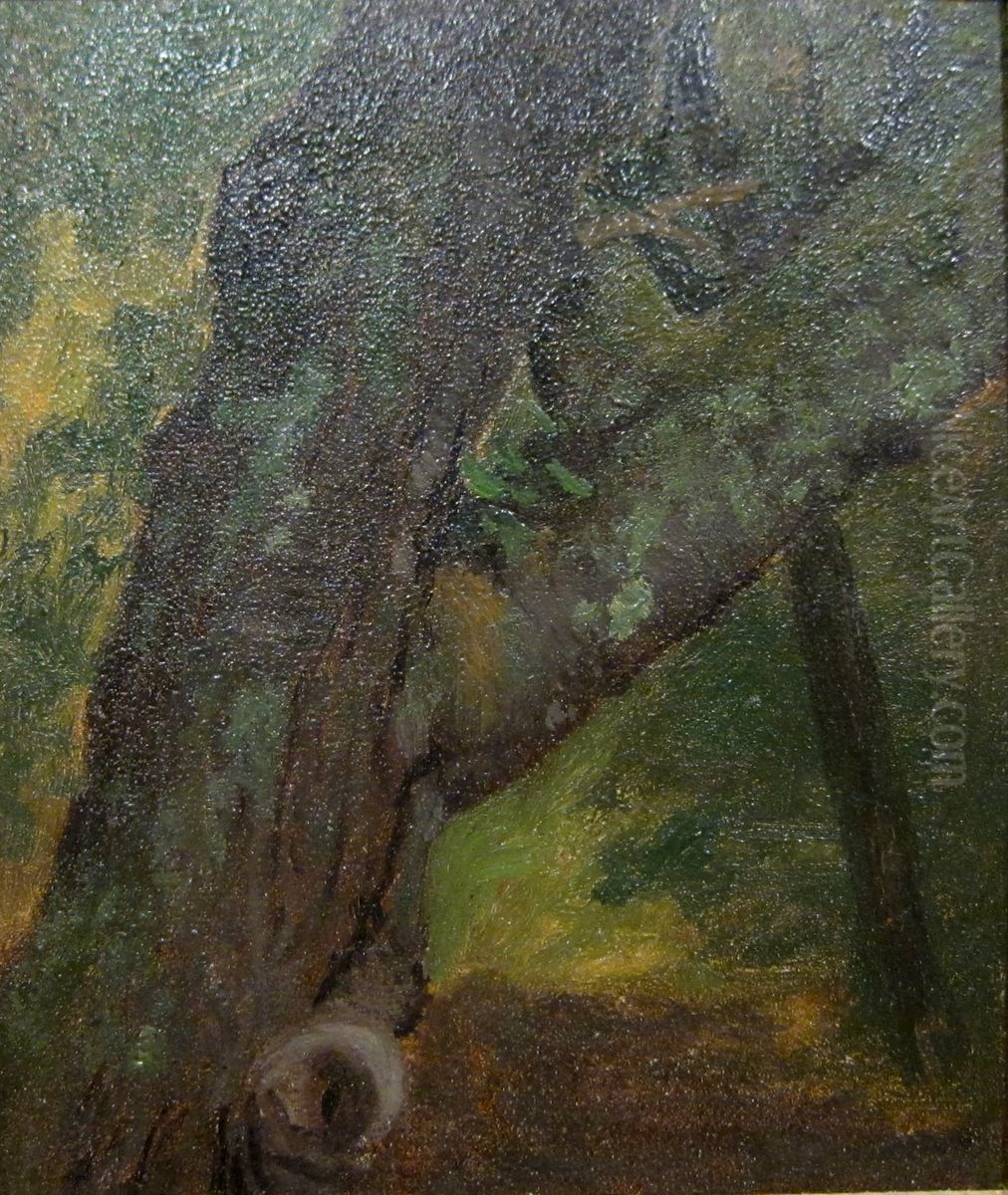 Study Of A Tree Oil Painting by Albert Bierstadt