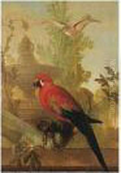 A Macaw And A Dove In An Ornamental Garden Oil Painting by Gerrit van den Heuvel