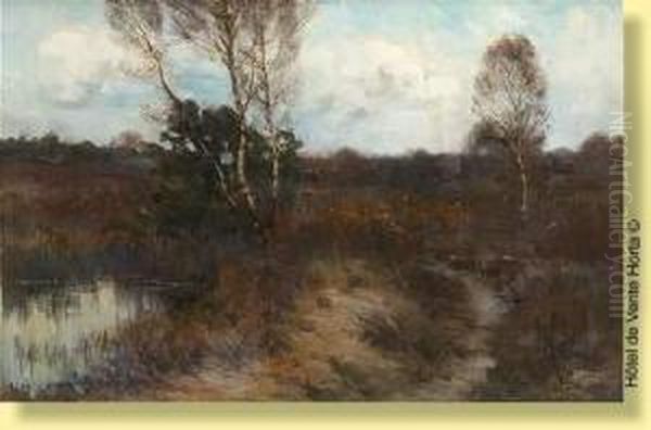 Vue D'etang En Campine Oil Painting by Emile Van Doren