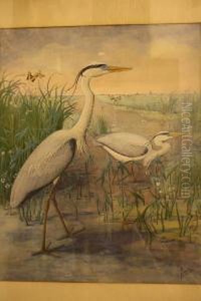 Polderlandschap Met Reigers In De Sloot Oil Painting by Johan Michiel Van Oort