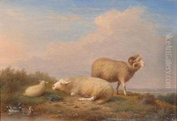 Study Of A Ram, Ewe, And A Lamb On AMoorland Rise Oil Painting by Francois Van Severdouk