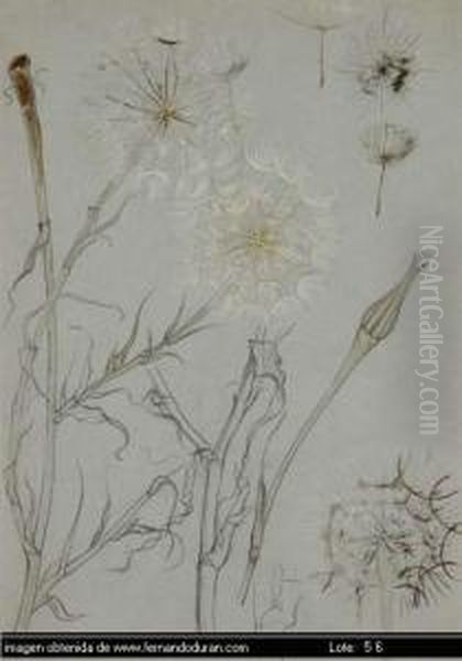 Untitled Oil Painting by Eulogio Varela Y Sartorio