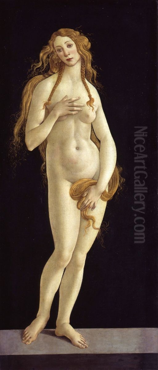 Venus Oil Painting by Sandro Botticelli