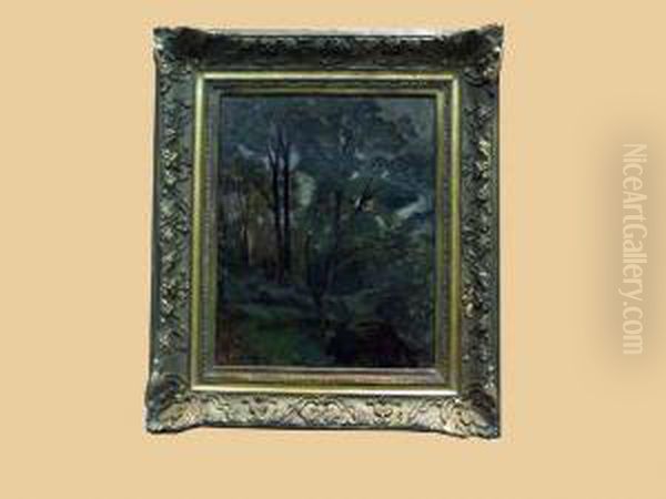 Le Sous-bois Oil Painting by Raymond Jean Verdun