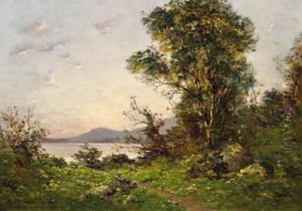 View Of A Bank Of Lac Leman Oil Painting by Raymond Jean Verdun