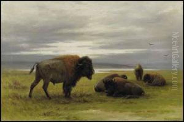 Buffalo On The Prairies Oil Painting by Frederick Arthur Verner