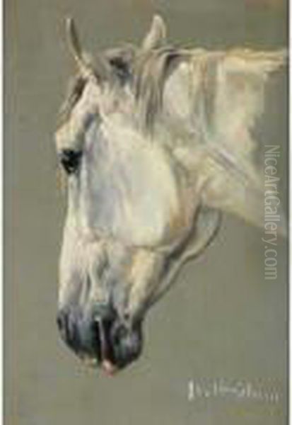 Tete De Cheval Oil Painting by C. Verschuur