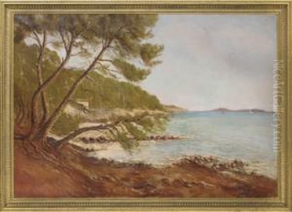A View Along The Coast, Port Jackson, New South Wales Oil Painting by A. Vincent