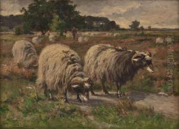 Heidschnucken Mit Schafer Oil Painting by August Voigt-Folger