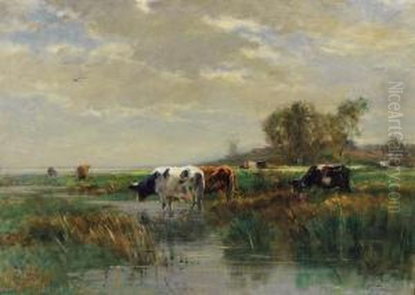 Kuhherde In Sommerlicher Auenlandschaft Oil Painting by August Voigt-Folger